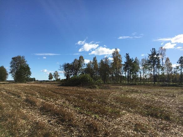 a säkrsälls i pla md plabsämmlsra B - bosädr, - das radhus, kdjhus och lrbosadshus, - das riliggad villor, S - örskola, - Vård och GATA. la ibär a org aläggs på allmä plasmark i plaområds mirsa dl.