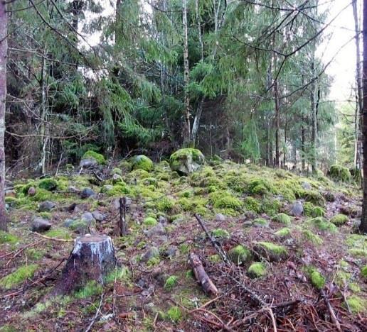 och pryadsbuskar. Torplämig är sida, plas var bbodd udr örsa häl av 900-al. Kulurlämigara i plaområds väsra dl, iom skogsmark som ugörs av röjigsrös, smurar och svall kommr bhållas.