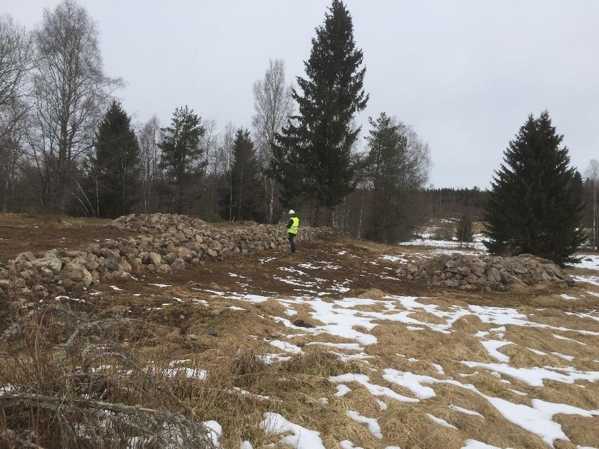 Aläggad av våmark kommr yrligar öka örusäigara ör d biologiska mågald då områd idag sakar såd va. Slär i dammar och dik kommr sås md ägsrö.