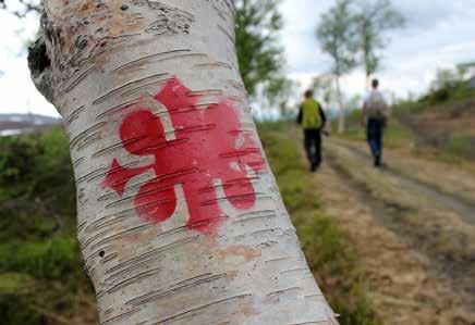 Det är naturen som drar de flesta besökarna till Bräcke kommun, med vidsträckta landskap som