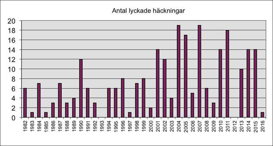 Sid 5 (8) vidare eller så tystnade de bara! Kanske insåg de att matbristen var så stor att någon häckning inte var möjlig. I Luleå lappmark hördes spelande ugglor på 11 olika lokaler.