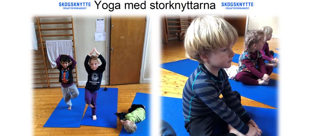 Yoga med
