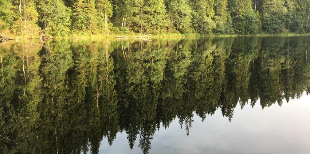 Syftet var att undersöka förekomst av framförallt öring och flodkräftor, se karta.