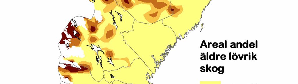 Andel äldre, lövrik skog Figur 5.12. Andel äldre, lövrik skog av total skogsmarksareal, procent. Skogsmark utanför 2001 års reservatsgränser. 1999-2003.