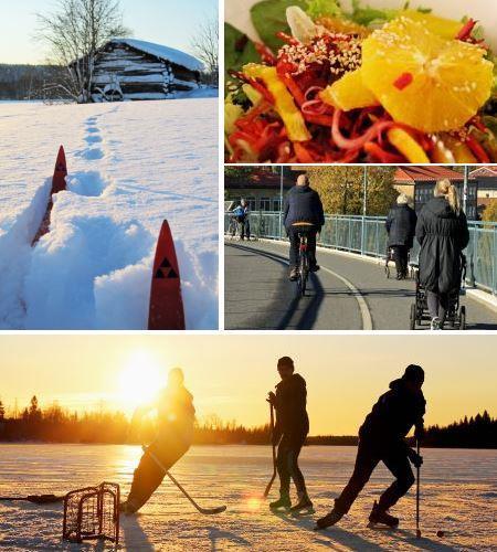 Folkhälsoindikatorer Umeå kommun Folkhälsoindikatorer 2018 Foto: Ann-Margrethe Iseklint I denna rapport redovisas senast tillgängliga data för Umeås folkhälsoindikatorer.
