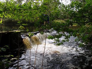 Bild 14. Den gamla dammen vid Källstorp i början av västra fåran av de två förgreningarna. Norra Gården Det första vandringshindret på sträckan är Norra gården (Bild 15).