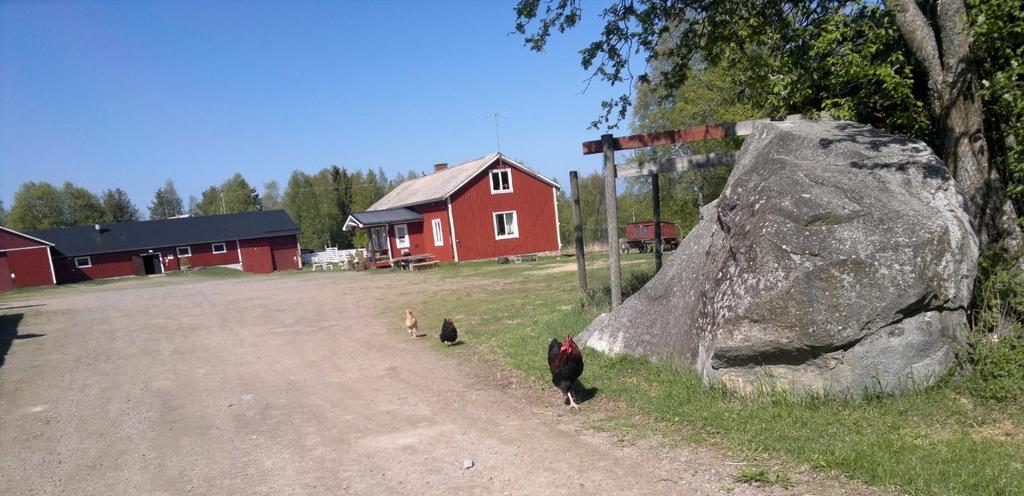 PONDEROSA 4H-GÅRD Ponderosa 4H gård ligger tre kilometer från Kalix centrum, utmed E4 i riktning mot Luleå. Cykelväg finns från Innanbäcken.