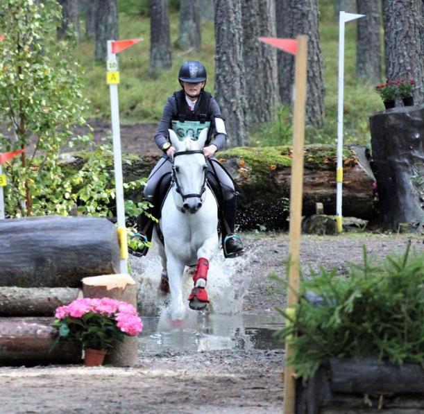 Fälttävlan Trossnäs Fältrittklubb har under året haft två fälttävlan, midsommar för ponny o häst med ca 5 starter. Och en fälttävlan i september med DM. Både för ponny o häst o ca 5 starter.