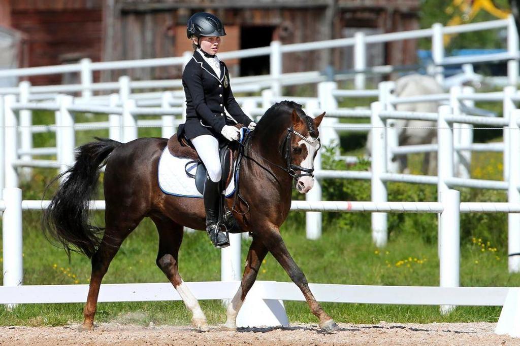 okänd. Cupen genomför vid fem tillfällen med brasa, korv, saft och trevlig samvaro under vintern. Ett utmärkt tillfälle för alla hästägare att under väldigt lugna former deltaga i en distansritt.