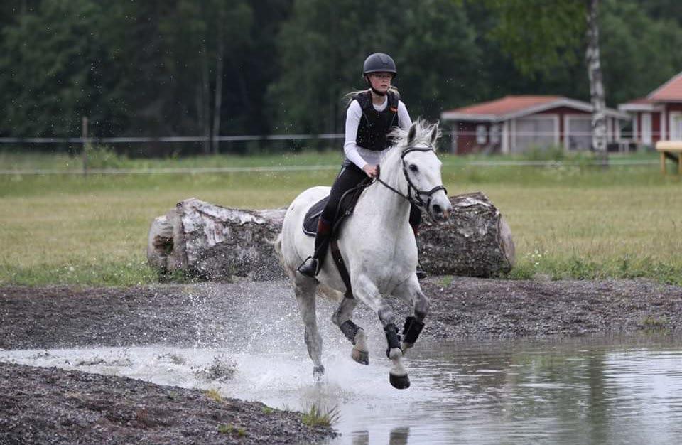 Efter regionsfinalen på Baldersnäs (Dalsland) stod det klart att Värmland hade tre ekipage i Sverigefinalen, Ida Jansson - Munsboro Cian, Ellen Reis - Caring Cassie samt Marlene Claussen - Mr Aeron