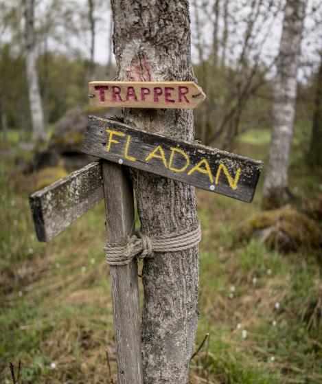 minnesrika veckor på Vässarö.