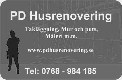 Bill en överlevare Kan vi bortskämda människor klara oss utan rent vatten och mat? Hur skulle vi tackla några dagar i vildmarken och enbart leva på naturens tillgångar?