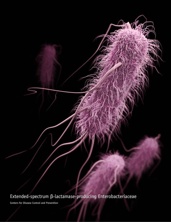 Tarminfektioner (EHEC, EIEC, ETEC mfl) Sepsis & Co K.