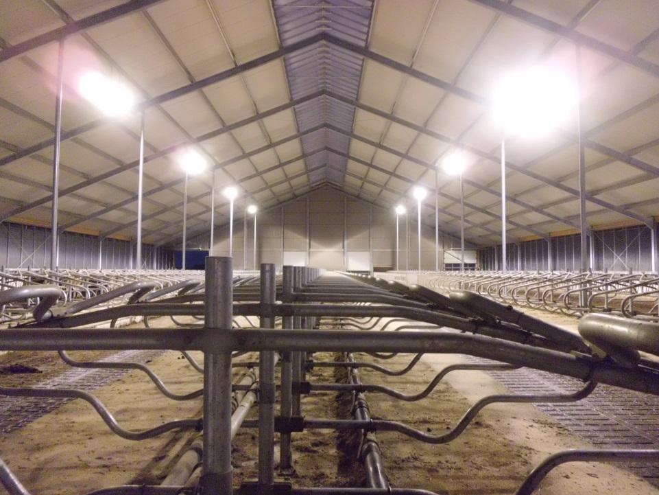 L4C LED