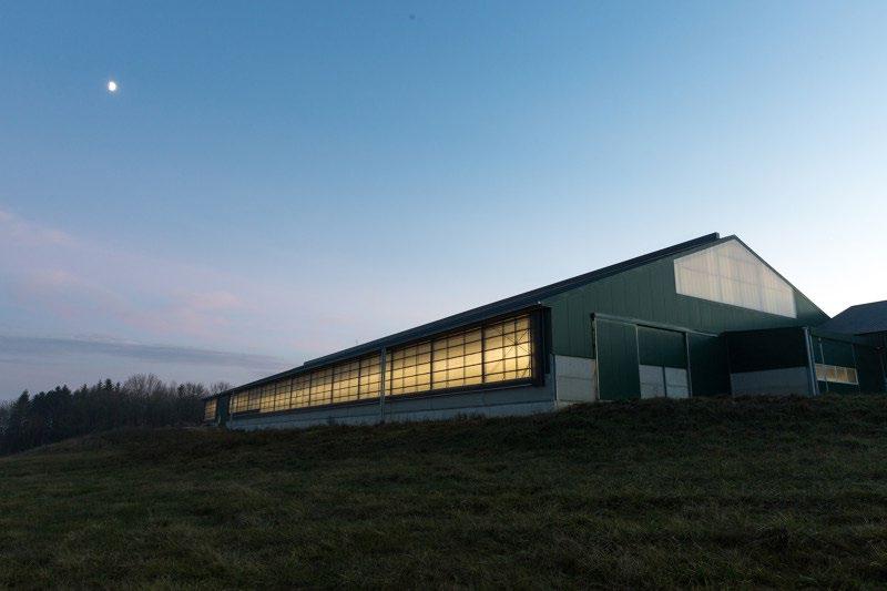 LELY L4C LED