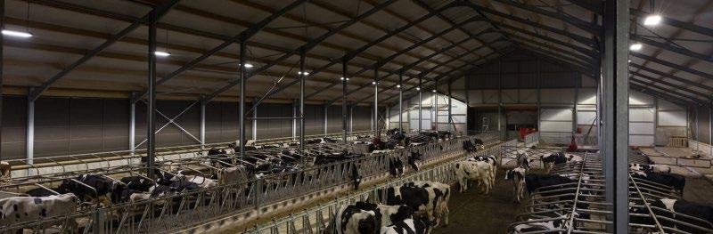 L4C LED