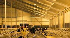 500 lumen Option 2 High Pressure Sodium fixtures High pressure sodium (HPS) yellow