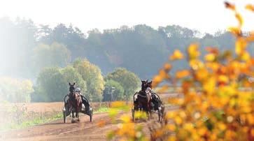 ÖVRIGA LOPP ÅBY TORSDAG 18 OKTOBER Deromes lopp Parocs treåringslopp ÅBY // 0 LOPP 1 210 M VOLT START 18.30 -åriga och äldre högst 28.000 kr. Körsvenskrav kat. 2. 210 m. Tillägg 20 m vid vunna 8.