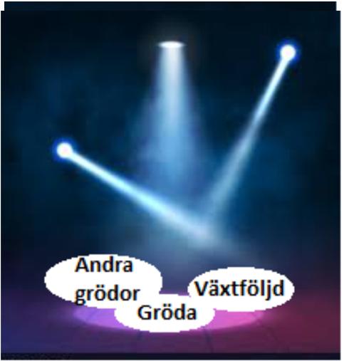 Vad är