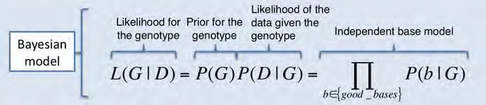 Genotyping Formalism (GATK) Bi-Allelic Model A: Reference allele B: Alternate allele Homozygous