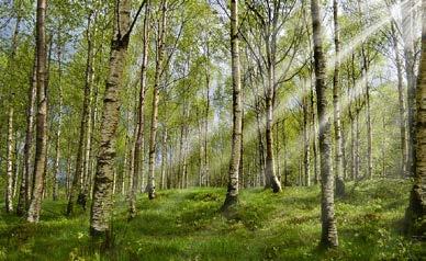 Allmänt förhandsröstningsställe i Lemland är Kommungården i Söderby. Läs mer i den separata kungörelsen!