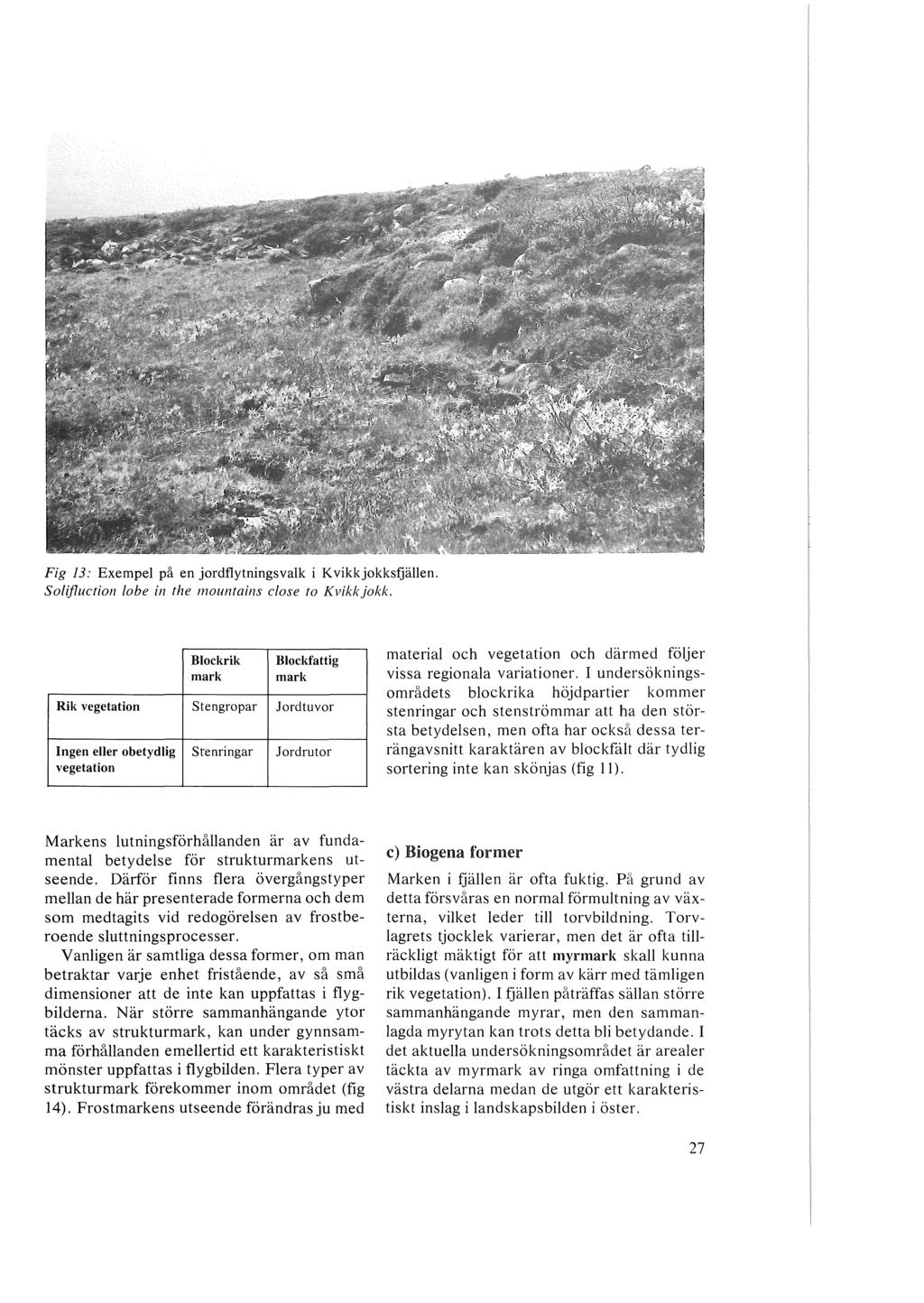 Fig 13: Exempel på en jordflytningsvalk i Kvikkjokksfjällen. Solijluction lobe in the mountains close to Kvikkjokk.
