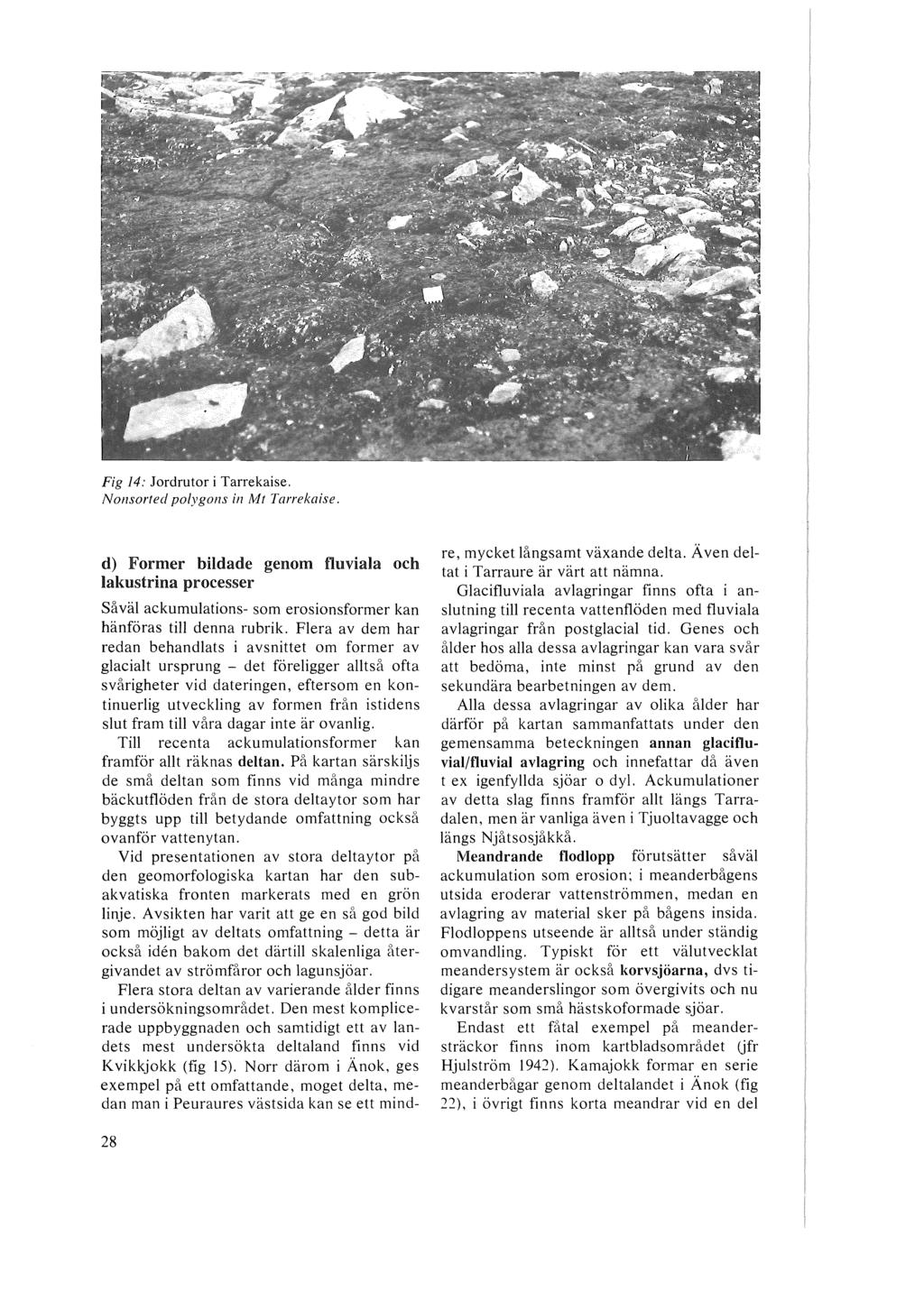 Fig 14: Jordrutor i Tarrekaise. Nonsorted polygons in Mt Tarrekaise. d) Former bildade genom fluviala och lakustrina processer Såväl ackumulations som erosionsformer kan hänföras till denna rubrik.