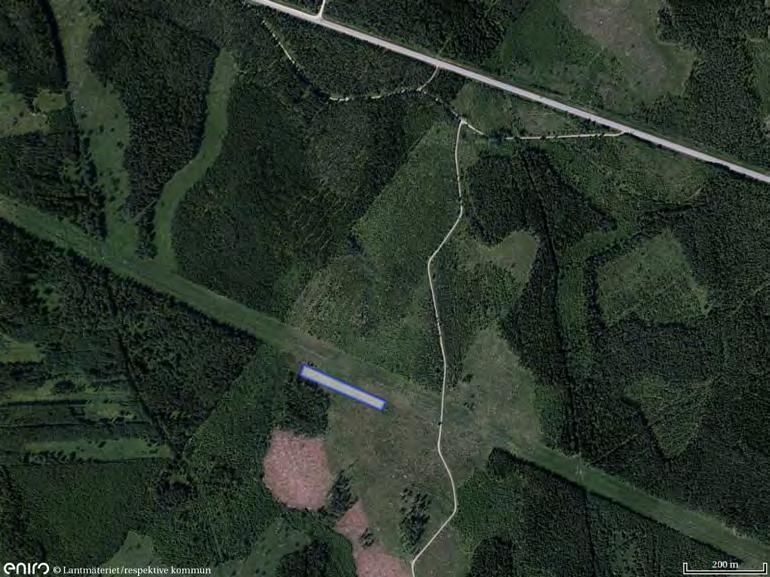 4. Omgivande hygge mot Östanå ledningsgata, Tierps kommun (0,5 ha) - Korsnäs Beskrivning