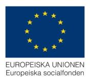 ESF STÖD Arbetsförmedlingen Försäkringskassan Kommuner Landstingskommunal Annan offentlig aktör Total summa Arbetsförmedlingen Försäkringskassan Kommuner Landstingskommunal Annan offentlig aktör
