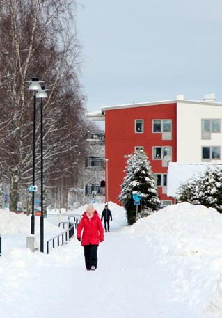 2017 Årsredovisning Om du önskar mer information finns hela redovisningen att ta del av på vår webbplats www.forshaga.se.