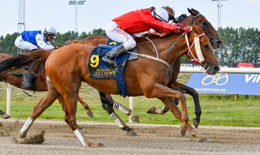 Lelles Legacy Swedish Open Mile (L) 2 1600 Gräs START 12.44 KOMB TRIO VINNARE PLATS Red Hot Chili vinner 14 juli För 3-åriga och äldre hästar. Vikt: 3-åriga 56,5 kg, äldre 59 kg. 400.000 kr 200.