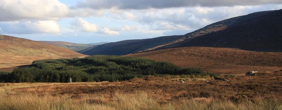 Längs leden passerar du några av Irlands mest välkända plaster; Glendalough, sjön Dan och Powerscourt vid Enniskerry.