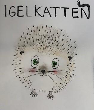 9: Apparater och instrument för inspelning, sändning, återgivning eller behandling av ljud, bilder eller data; inspelade och nedladdningsbara media, datormjukvaror, tomma digitala och analoga media