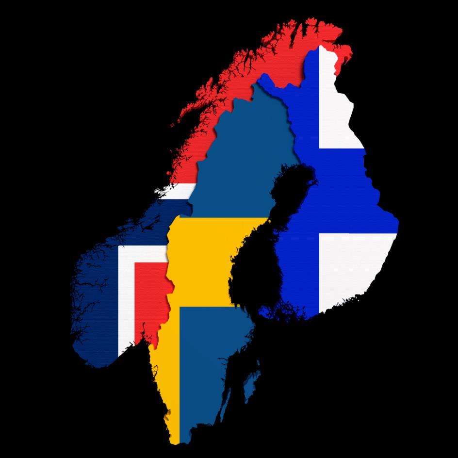 Aidon i korthet Aidon startade verksamheten 2004 Aidon är en snabbt växande leverantör av produkter, lösningar och tjänster inom området för smarta elmätare och smarta elnät.