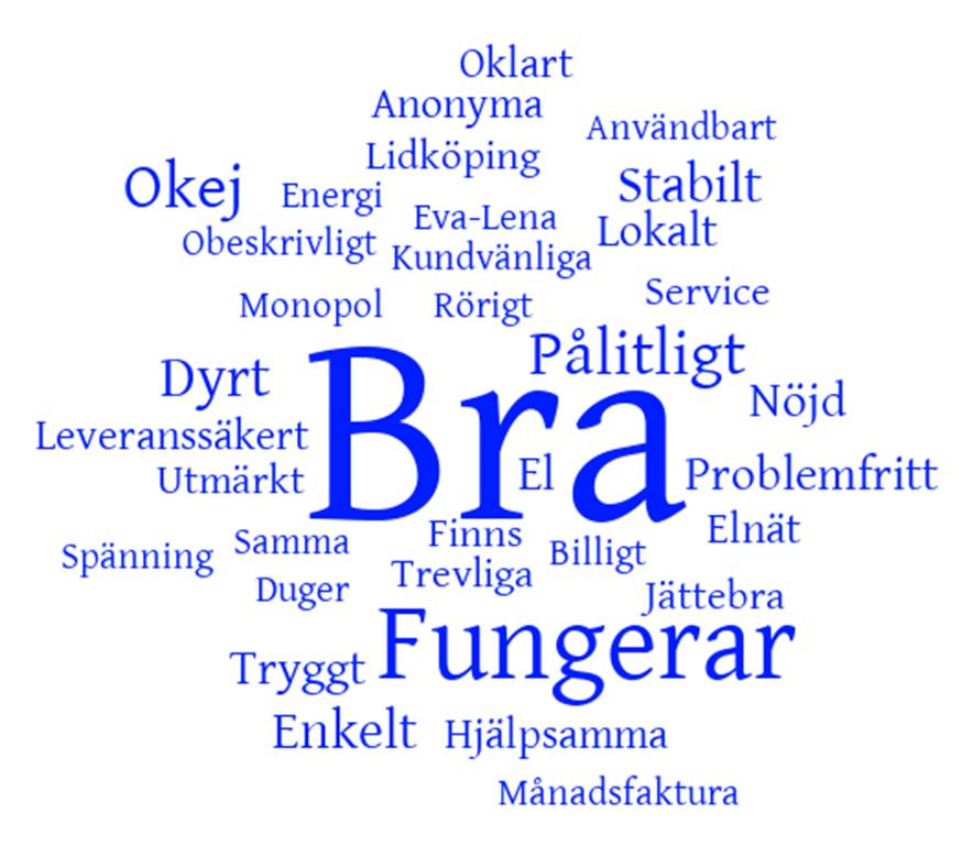 beskriva Lidköping Elnät med endast