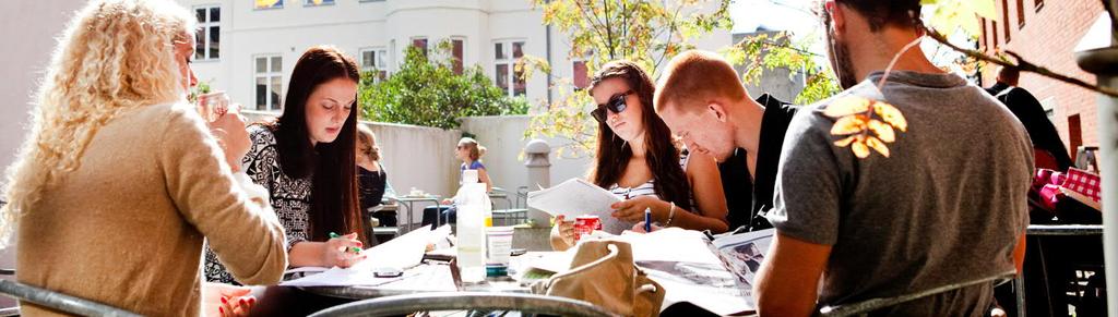 Lund University Gör SI-PASS någon skillnad?