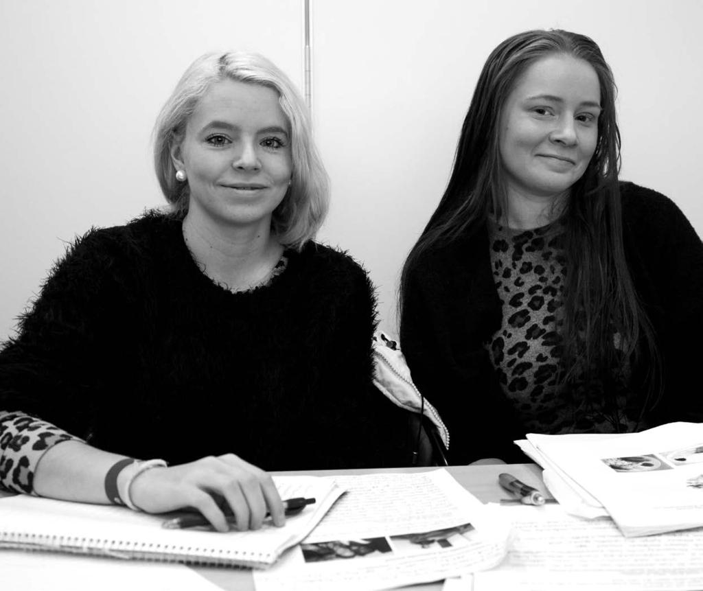 RAPPORT 462 2017 I mötet mellan
