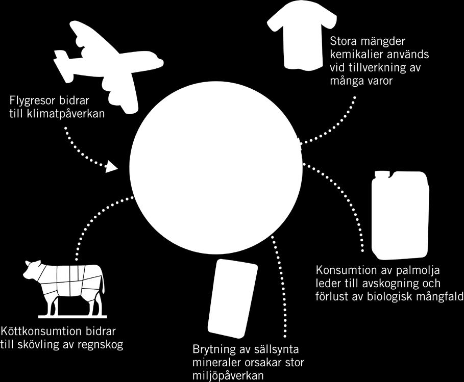 Svensk konsumtion av bland annat flygresor och livsmedel orsakar idag en betydande negativ påverkan på miljön och människors hälsa i andra