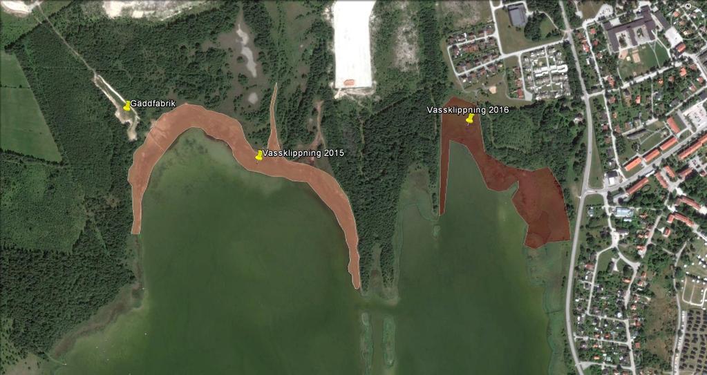 Gällande fosforhalter är halterna relativt låga jämfört med halter som uppmätts på andra platser längs Sveriges kust.