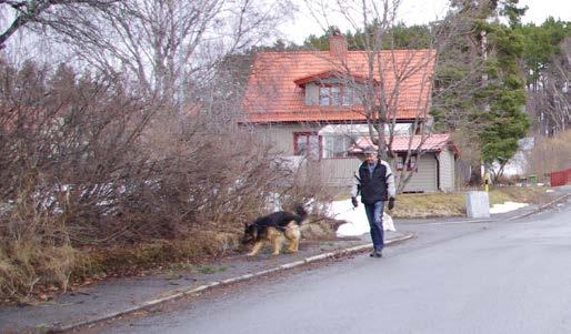 Österlund Förbränning