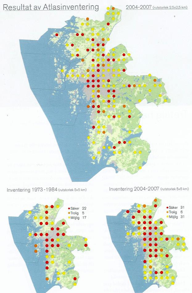 Bilaga 2 Mindre hackspett i Göteborgsområdet Från Aronsson, N (red). 2009.