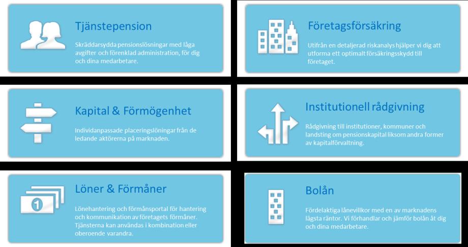 Andra källor till information som ligger till grund för analysen kan vara bolagsinformation och analysdatabaser.