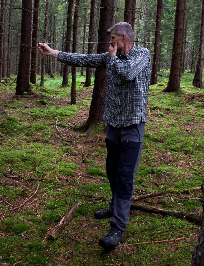 Skogsbruksplan Använd planen som planeringsverktyg Uppdatera planen löpande med genomförda åtgärder Grundlig genomgång av planen 8 10:e år Ta ställning till