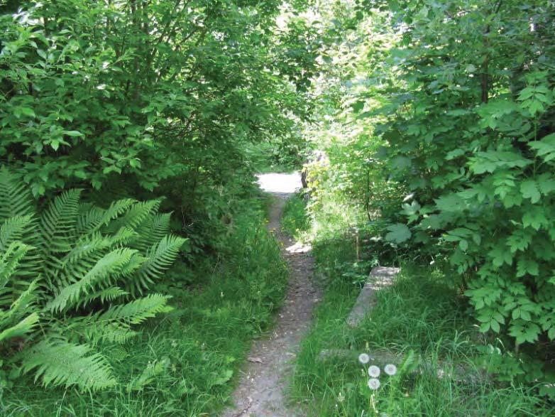 Trappan upp till vattencisternen bör rustas upp och nedersta delen ges mer utrymme. Bra utsikt från cisternens tak och ganska bra picknickplats.