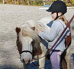 Stallträffar Nu drar vårens stallträffar igång på stall Vinterholm, igen!
