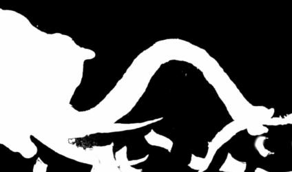 ALESSANDRA La memoria L elefante cammina