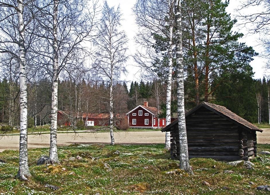 Veckans Bild i Gästriklands Tidning, maj-augusti 2018 Gästriklands Tidning har varje fredag en återkommande vinjett, Veckans Bild.