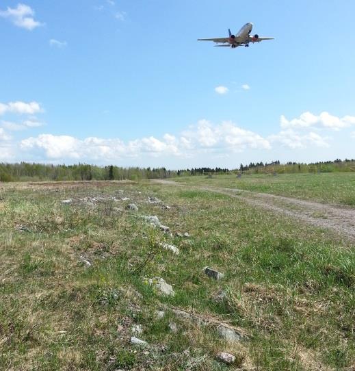 Vid inflygningszonerna domineras vegetationen av tät grässvål och av busk. Områdena sköts oftast genom återkommande röjning.