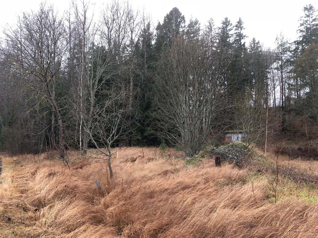 Dagvattenavledningen sker i södra delen via befintlig dränledning, som leds mot befintligt dike/täckdikessystem utmed/genom åkermark. Foto 4.