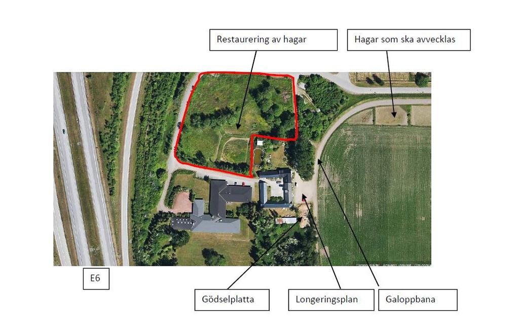 trots att det är sannolikt att den inte uppfyller bullerkraven för en bostad med hänsyn till dess läge invid motorväg.